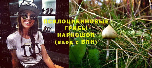 спайс Абинск