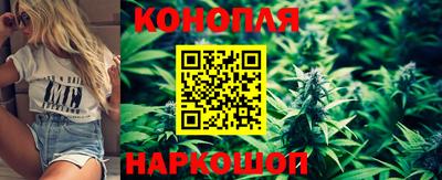 крисы Донецк