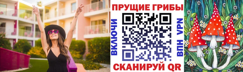 Псилоцибиновые грибы Cubensis  дарнет шоп  Нефтеюганск 