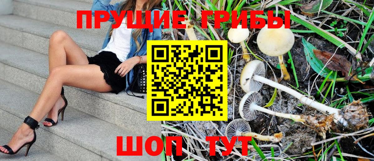 Нефтеюганск  Псилоцибиновые грибы Psilocybe  Вход с VPN  Псилоцибиновые грибы Magic Shrooms 
